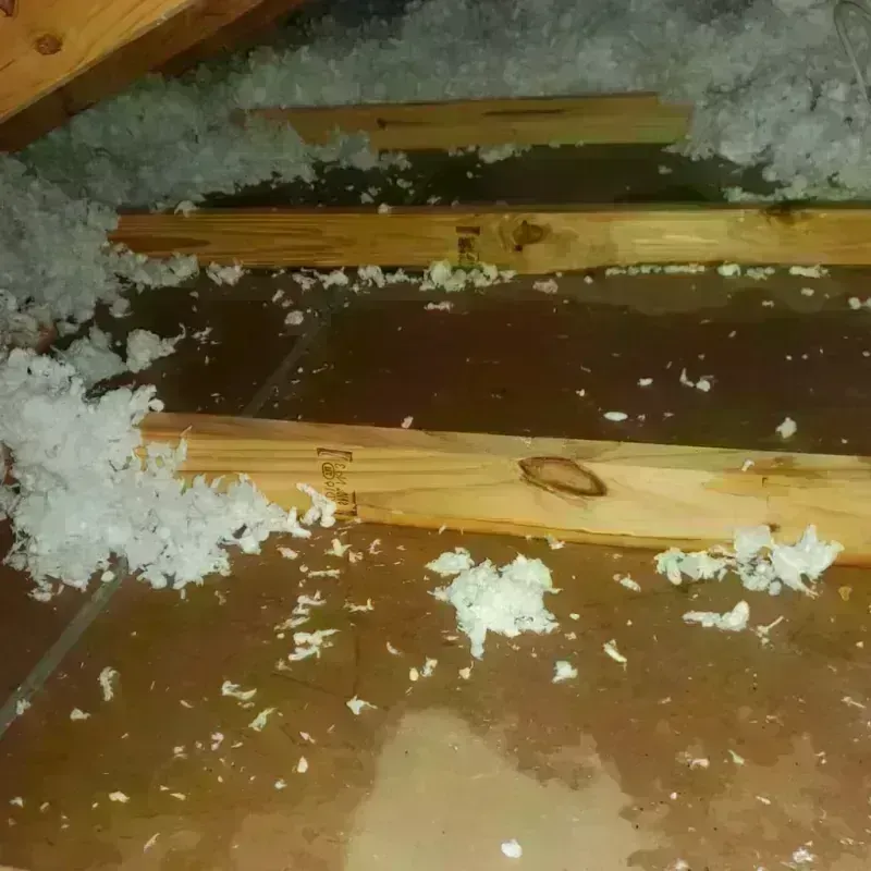 Attic Water Damage in Church Hill, TN